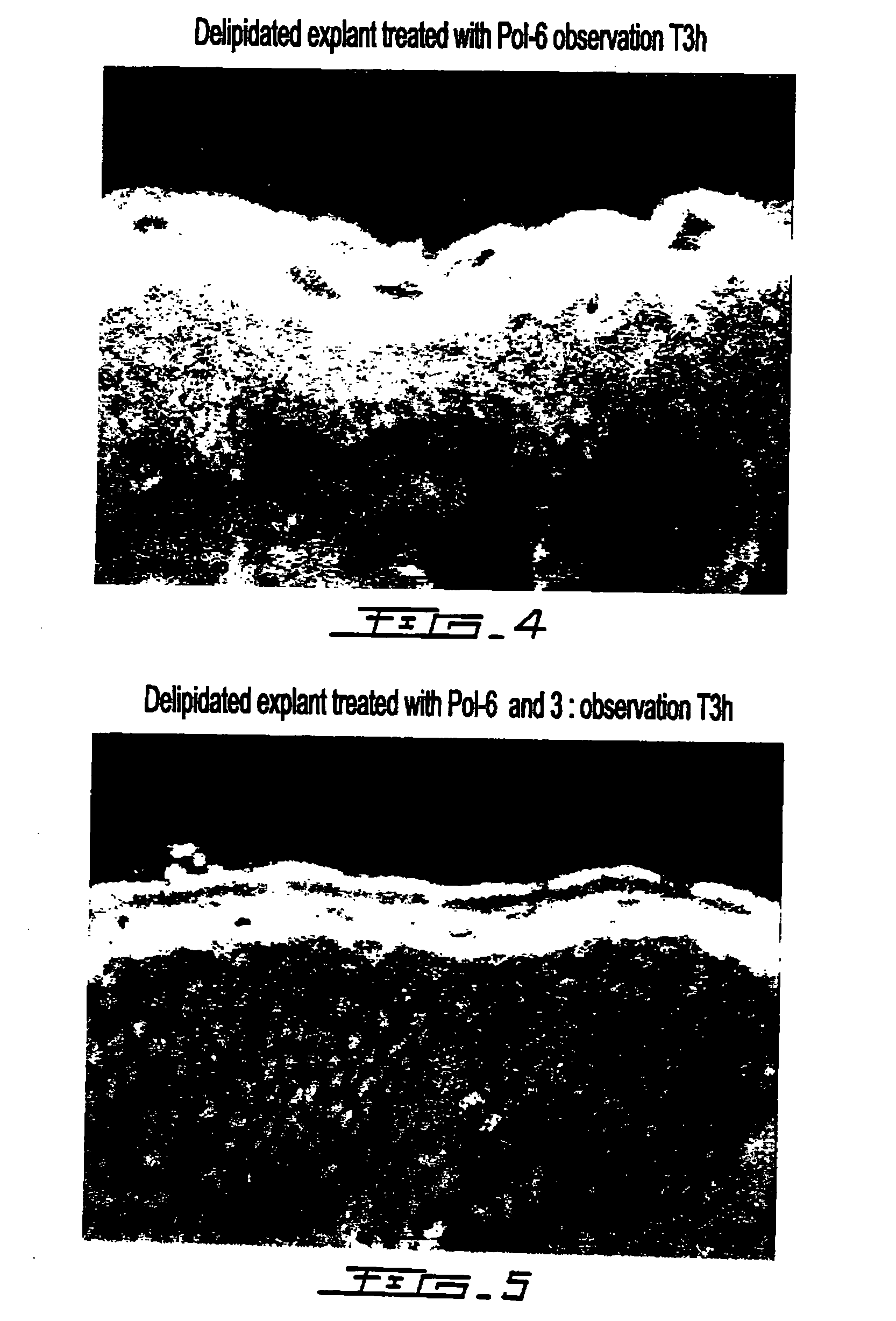 Cosmetic compositions comprising exopolysaccharides derived from microbial mats, and use thereof