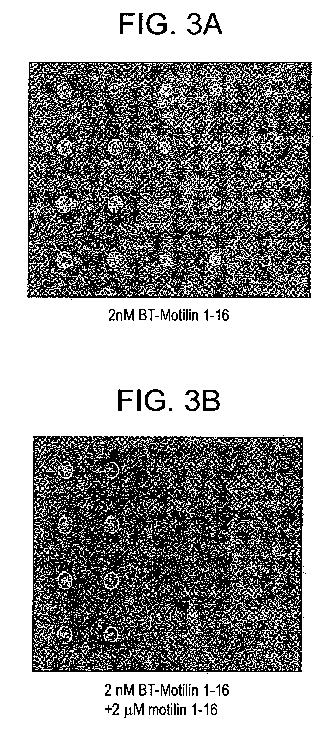 Compositions & methods for reformulating biological membranes for arrays