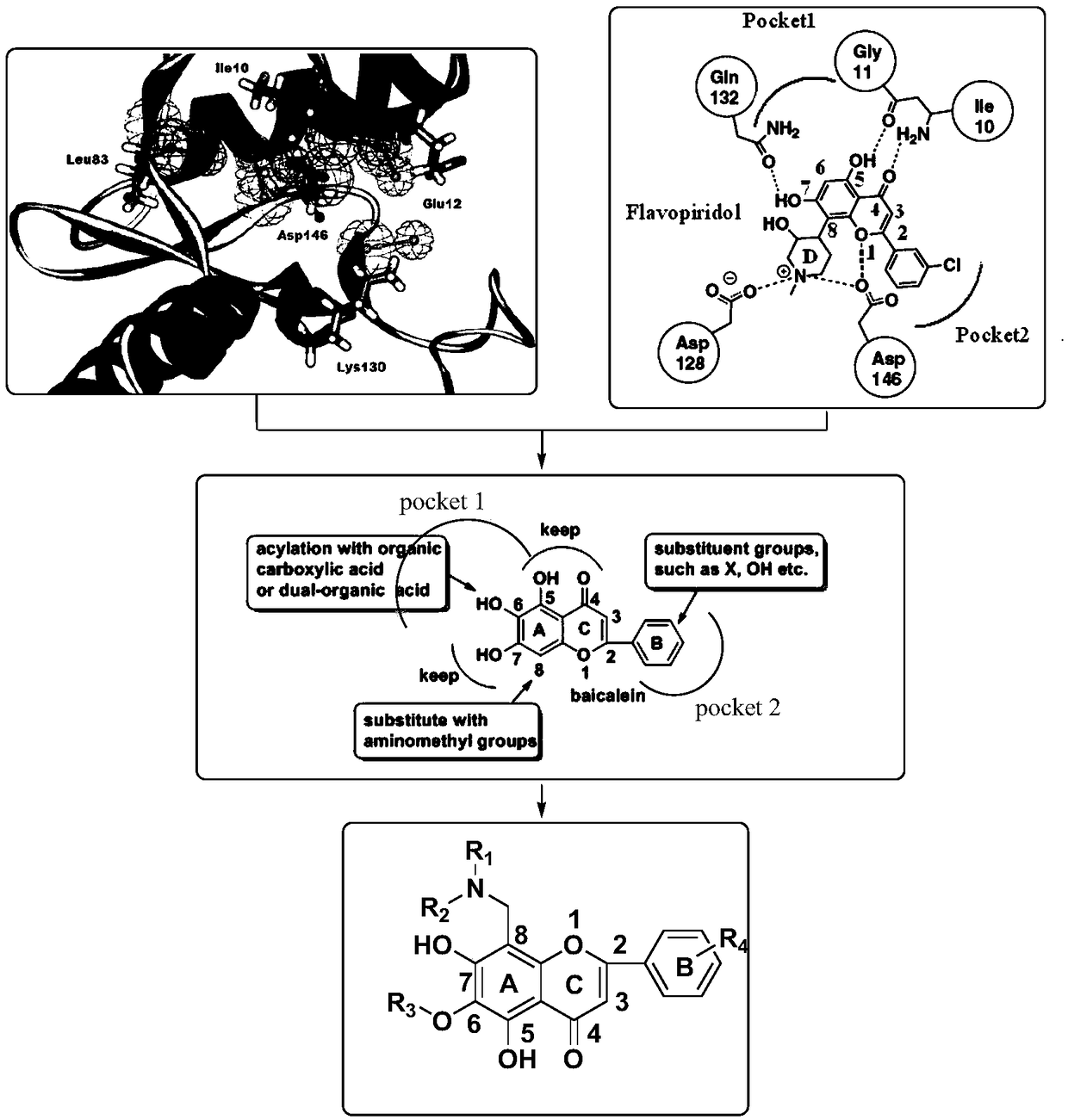 Flavonoid derivative as well as preparation method and identification method thereof