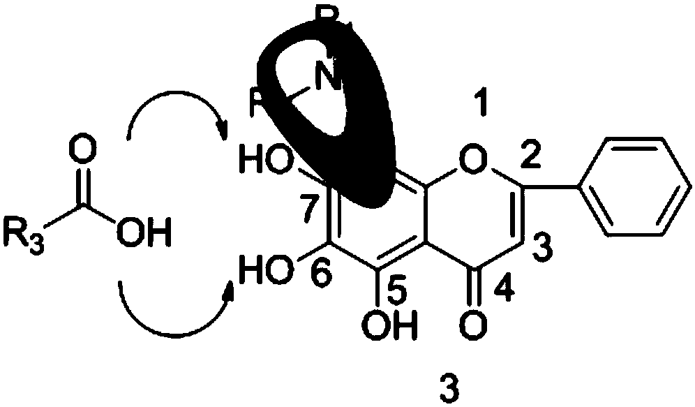 Flavonoid derivative as well as preparation method and identification method thereof