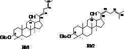 Method for preparing red ginseng saponins Rg3 group and Rh2 group mixed saponins