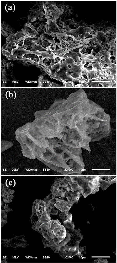 Dissolved organic matter impregnated biochar efficient in adsorbing heavy metal ions Cd2+ and preparation method and application thereof