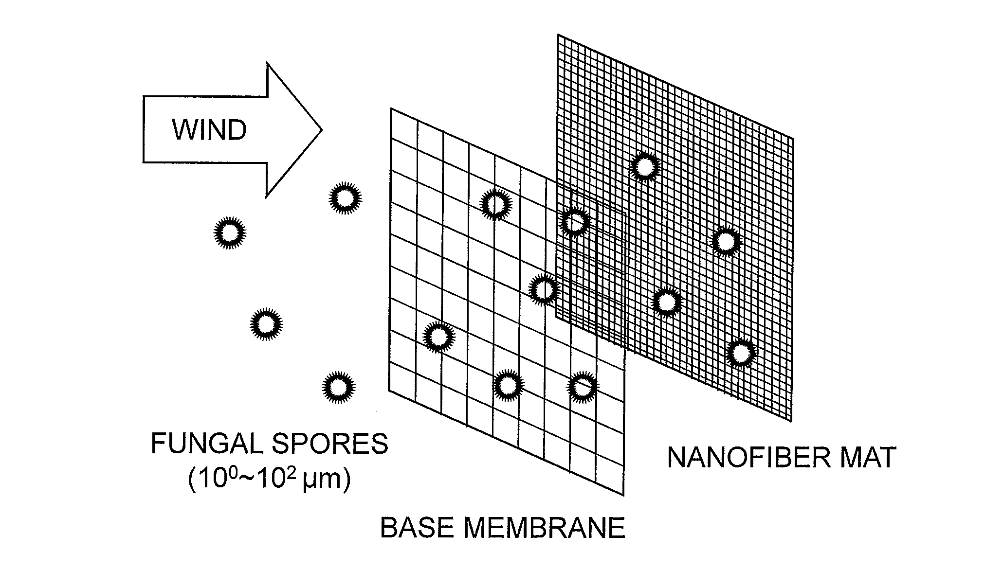 Biodegradable plant wound dressing composed of electrospun nanofibers