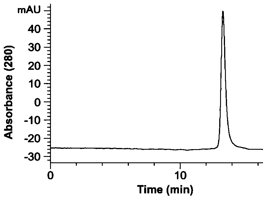 Novel bifunctional antibody and application thereof