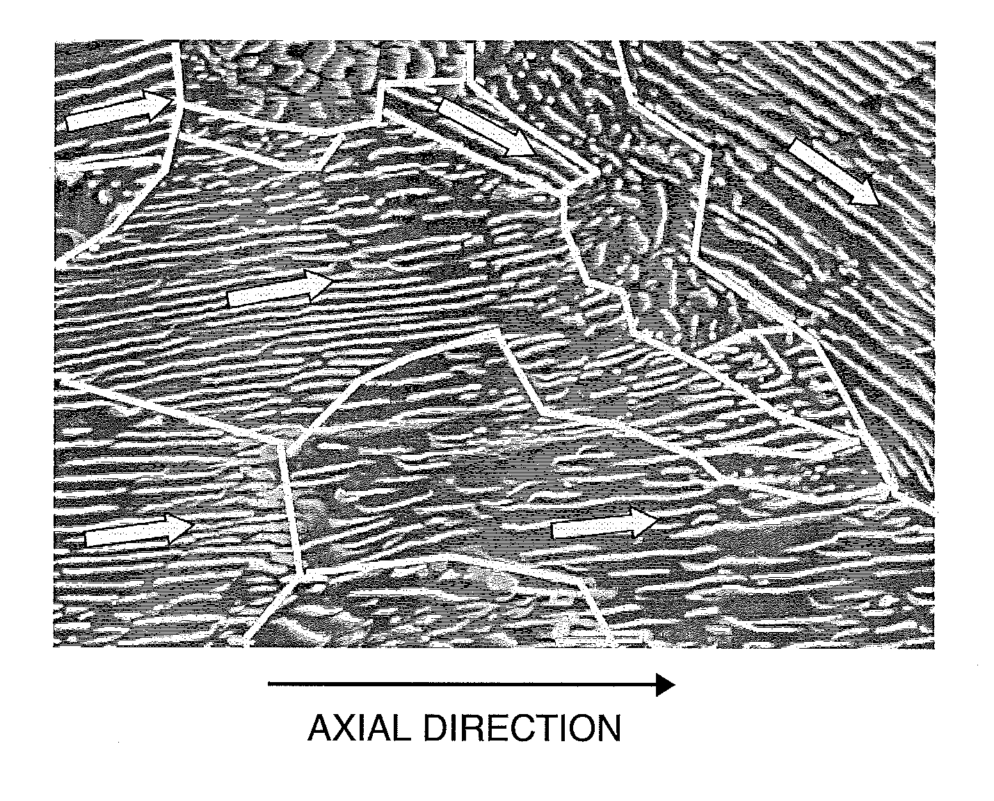 Steel wire of special steel and wire rod of special steel