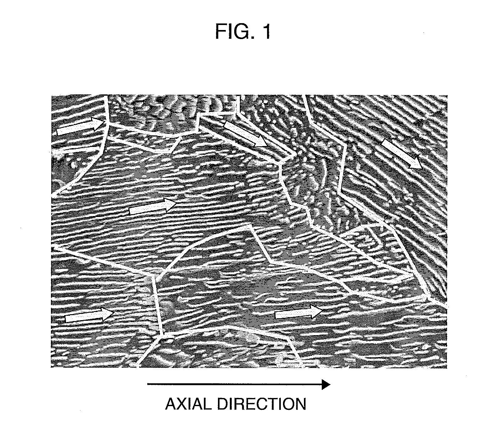 Steel wire of special steel and wire rod of special steel