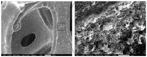 Wear-resistant superomniphobic material and preparation method thereof