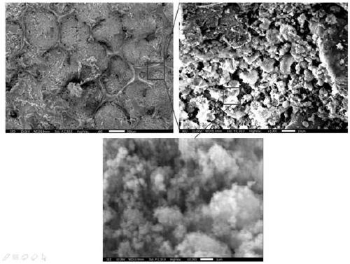 Wear-resistant superomniphobic material and preparation method thereof