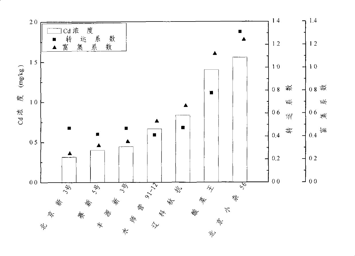 Method for selecting crop varieties with low heavy metal accumulation