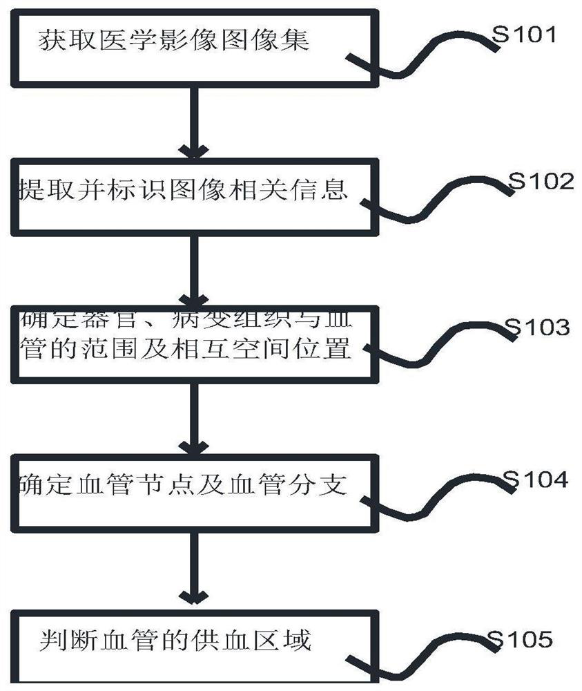 Blood supply analysis method and device and storage medium