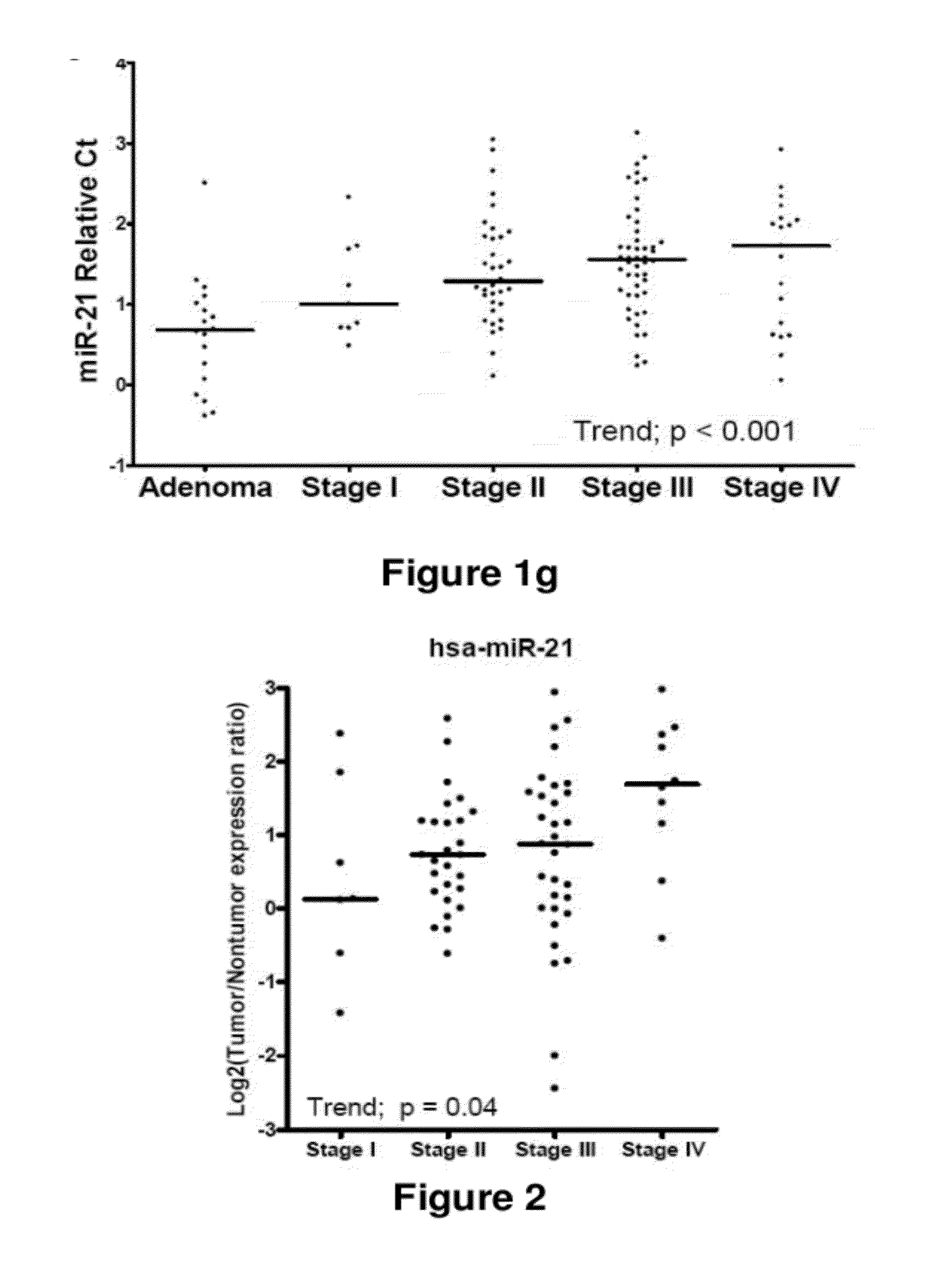 METHOD OF DIAGNOSING POOR SURVIVAL PROGNOSIS COLON CANCER USING miR-181b