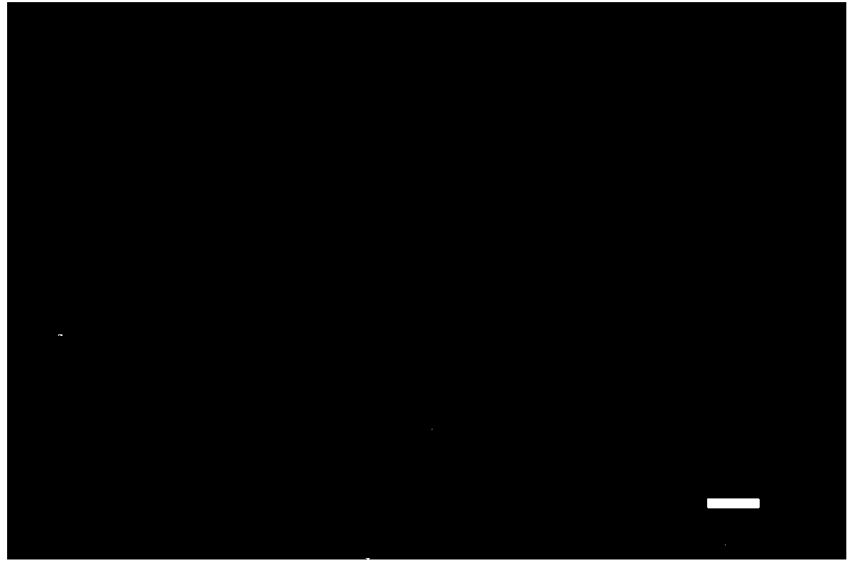 Photoresponsive nanostructure film with high visible light transmittance and application thereof