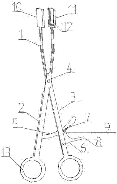 Cervical dilatation forceps