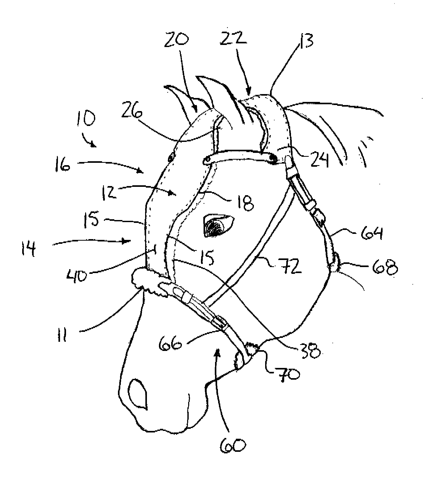 Apparatus and method for equine facial protection