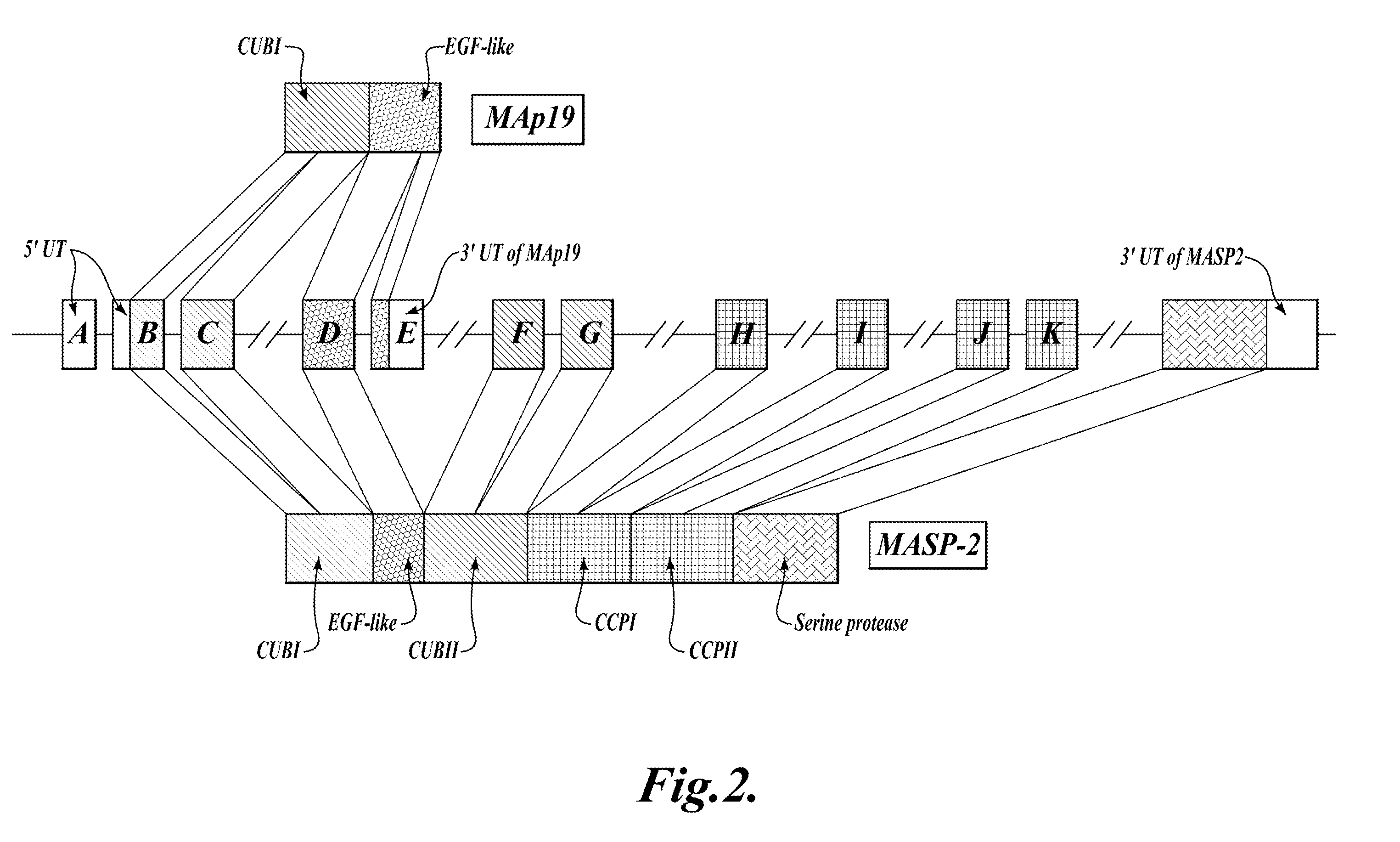 Methods for treating disseminated intravascular coagulation by inhibiting MASP-2 dependent complement activation