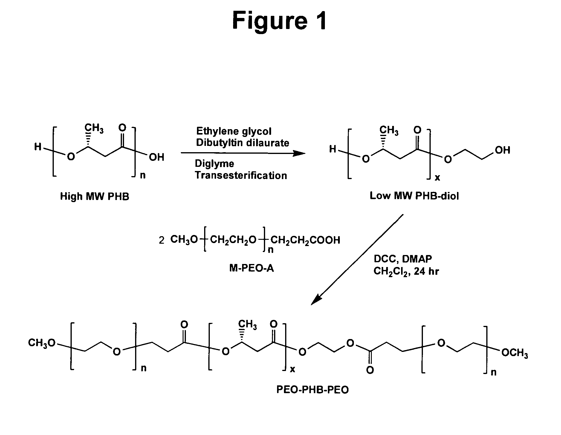 Biodegradable triblock copolymers, synthesis methods therefore, and hydrogels and biomaterials made there from