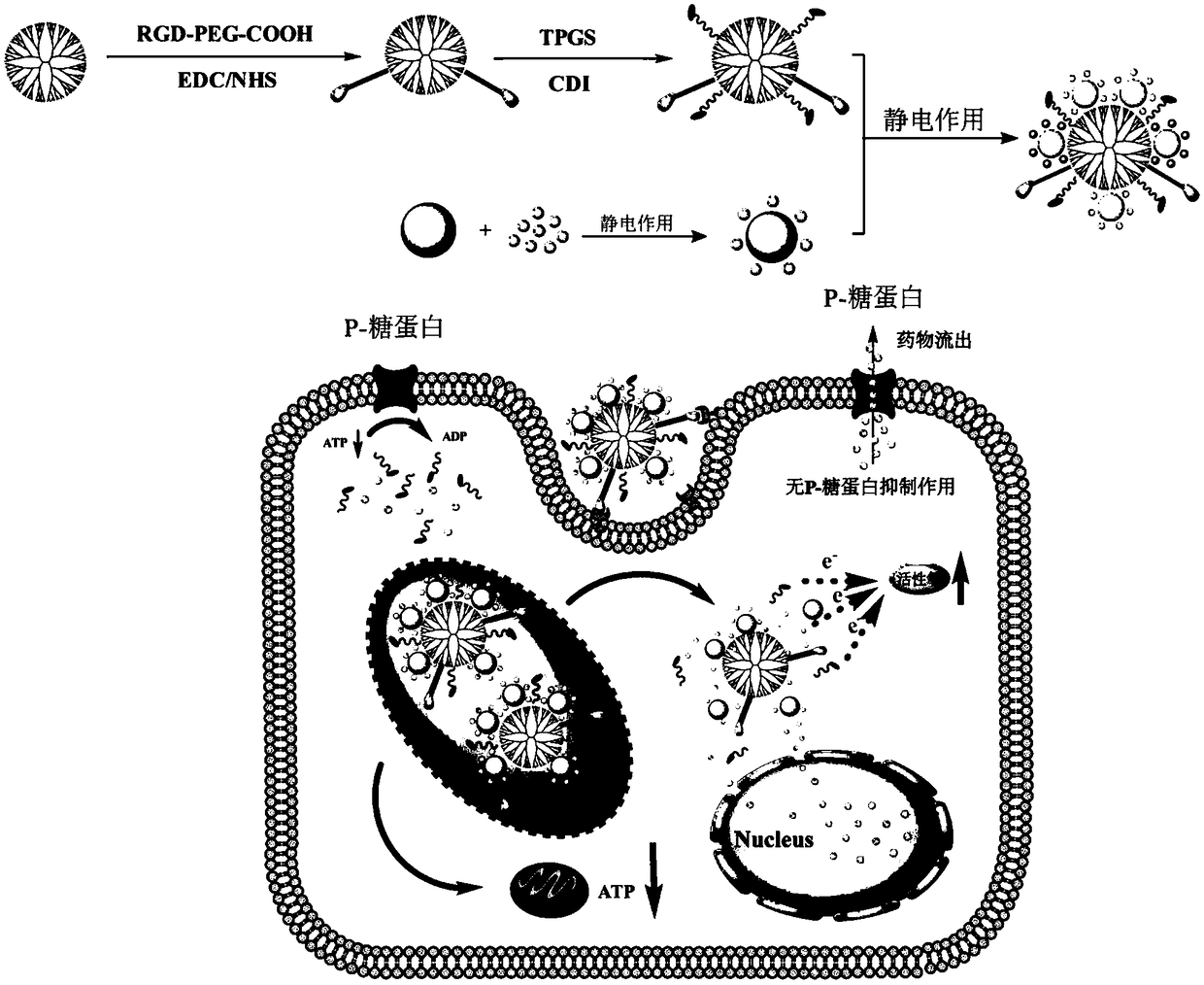 Preparation method for dual-loaded targeted nano platform of dendrimer based on fluorescent carbon dot modification