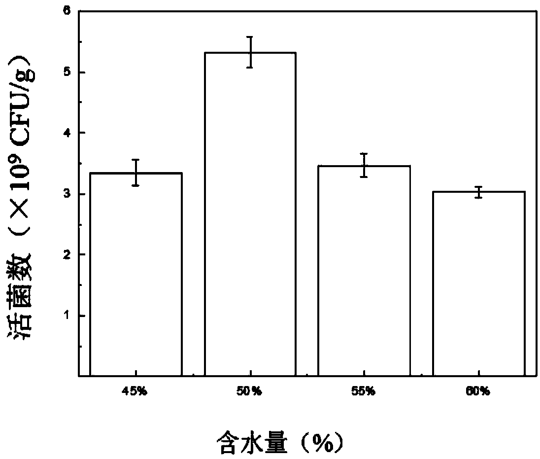 Probiotics viable bacteria powder produced by whole oat solid-state mixed fermentation and preparation method of probiotics viable bacteria powder