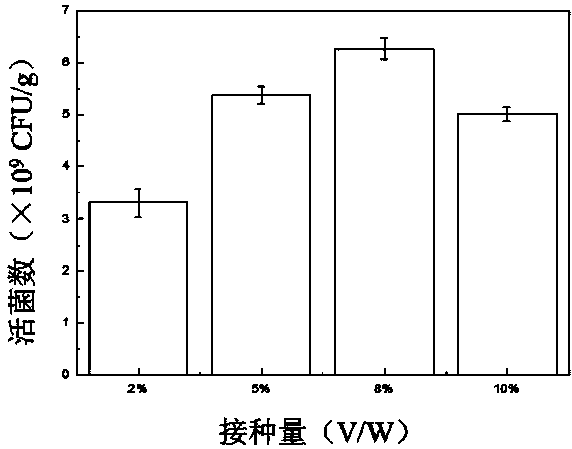 Probiotics viable bacteria powder produced by whole oat solid-state mixed fermentation and preparation method of probiotics viable bacteria powder