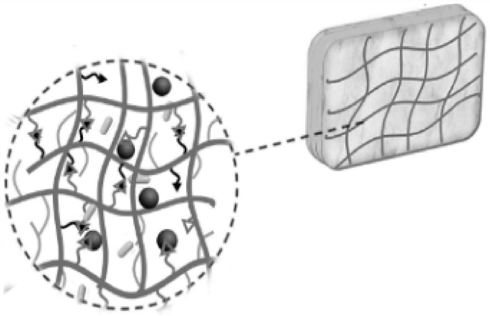 Gold nanorod-polymer composite injectable hydrogel and its preparation method and application