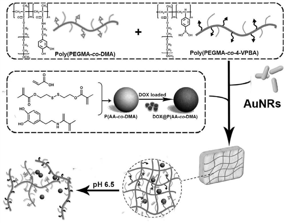 Gold nanorod-polymer composite injectable hydrogel and its preparation method and application