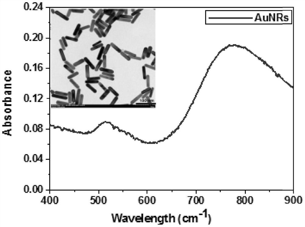 Gold nanorod-polymer composite injectable hydrogel and its preparation method and application