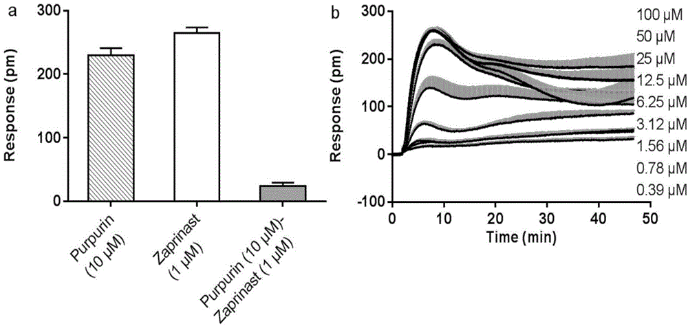 GPR35 receptor agonist and application thereof