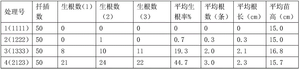 Pesticide treatment method capable of promoting rooting of twig cuttings of buerger maple and improving growth vigor