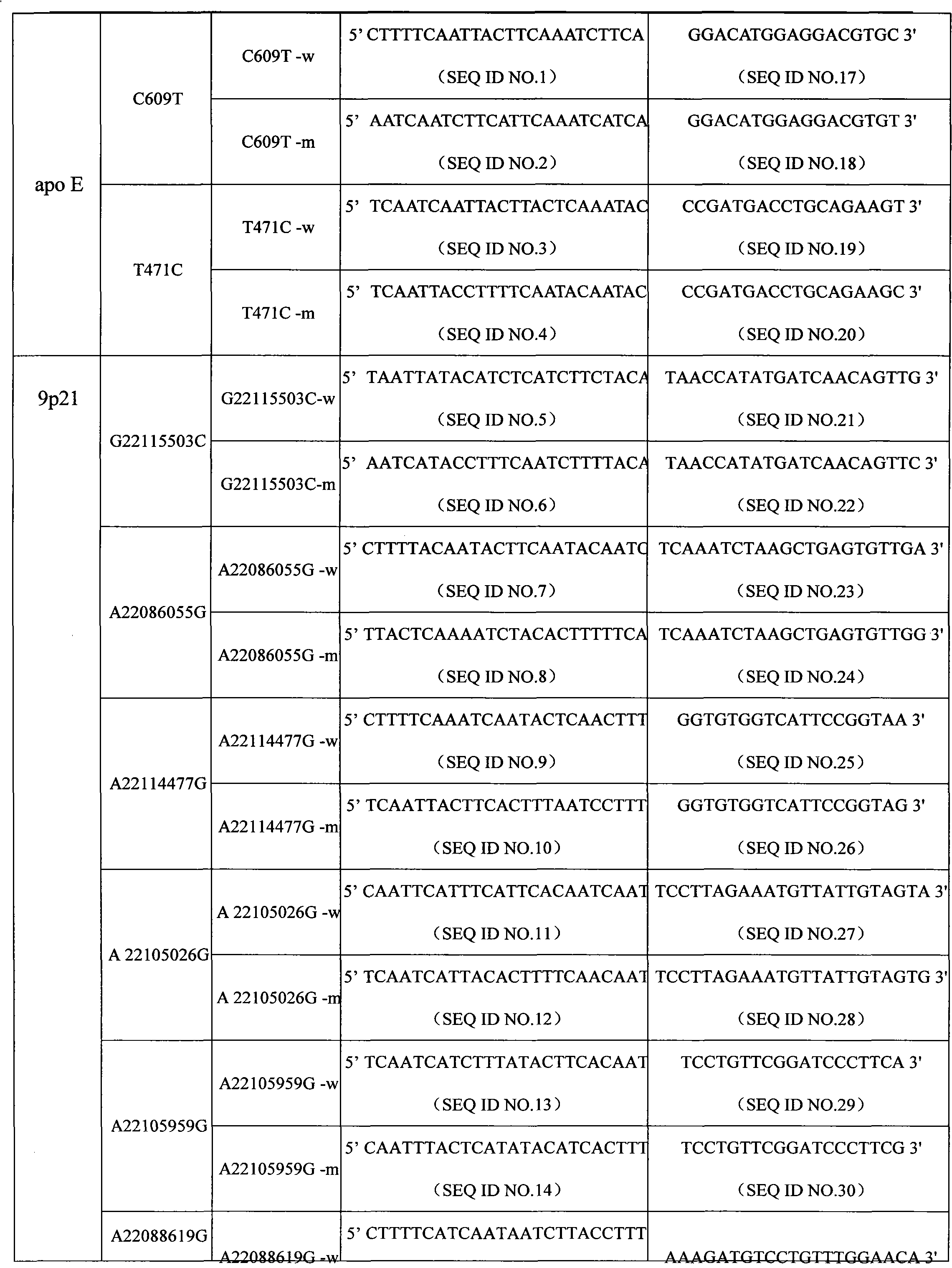 Liquid phase chip and specific primer to test apo E gene and single nucleotide polymorphism (SNP) of 9p21 segment of chromosome