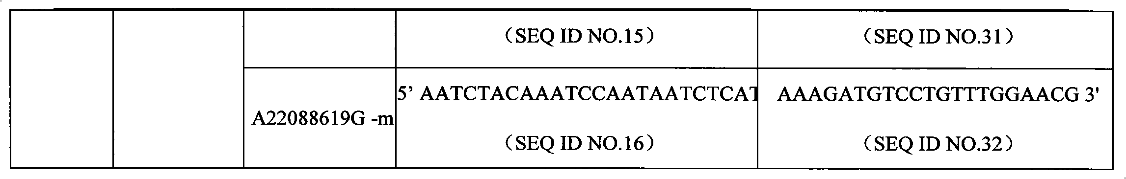 Liquid phase chip and specific primer to test apo E gene and single nucleotide polymorphism (SNP) of 9p21 segment of chromosome