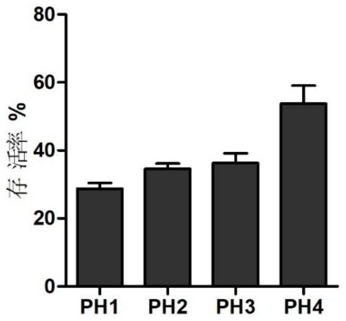 Lactobacillus acidophilus for producing exopolysaccharides with anti-tumor, hypoglycemic and lipid-lowering activity and application of lactobacillus acidophilus