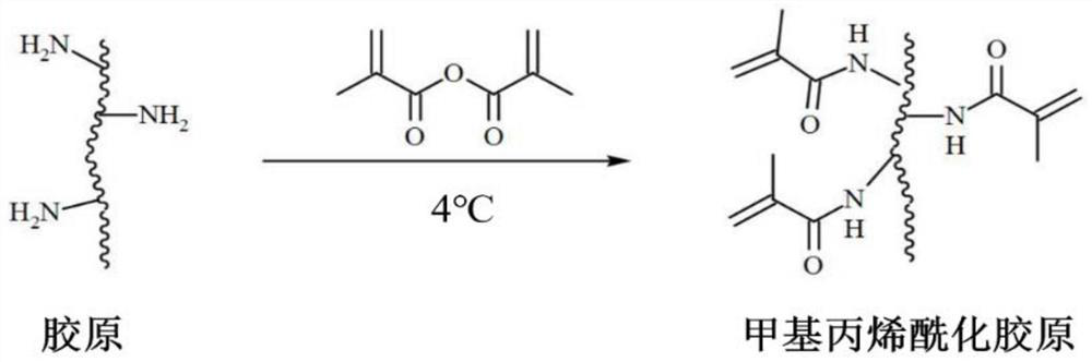 A kind of collagen-based bioink for 3D bioprinting and its preparation method and application