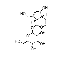 Method for rapidly and efficiently preparing aucubin monomer from eucommia ulmoides