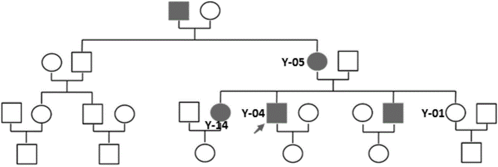 AMSH gene mutant and application thereof