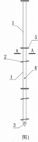 Prefabricated rotary drilling compound pile and construction method thereof