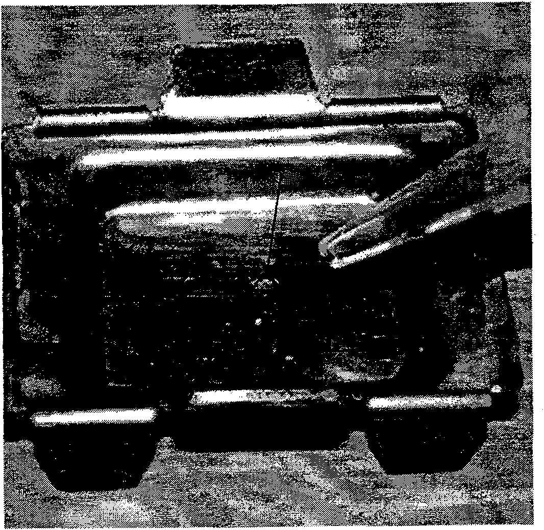 Method for preparing oocyte paraffin cut film