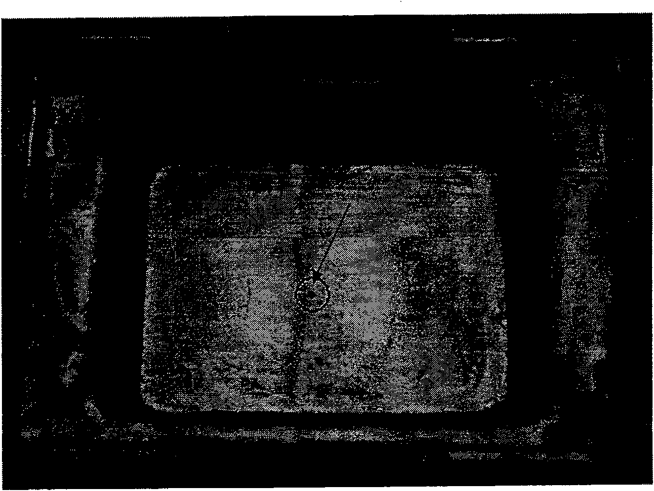 Method for preparing oocyte paraffin cut film