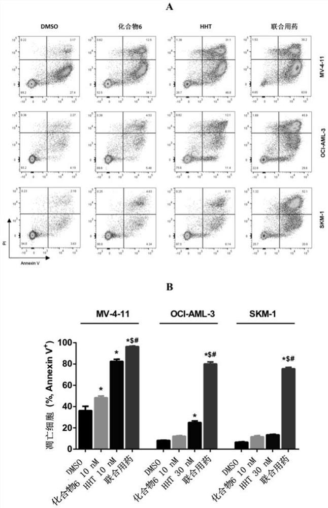 Combined product of Bcl-2/Bcl-xL inhibitor and chemotherapeutic drug and application of combined product in prevention and/or treatment of disease