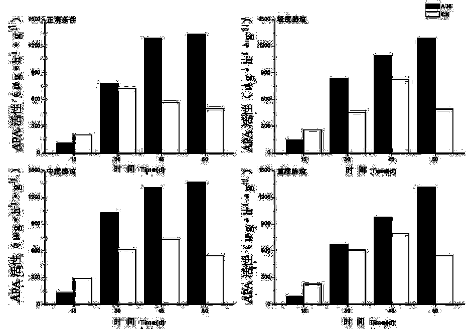 Endophytic fungus capable of accelerating phosphorus absorption of cedar