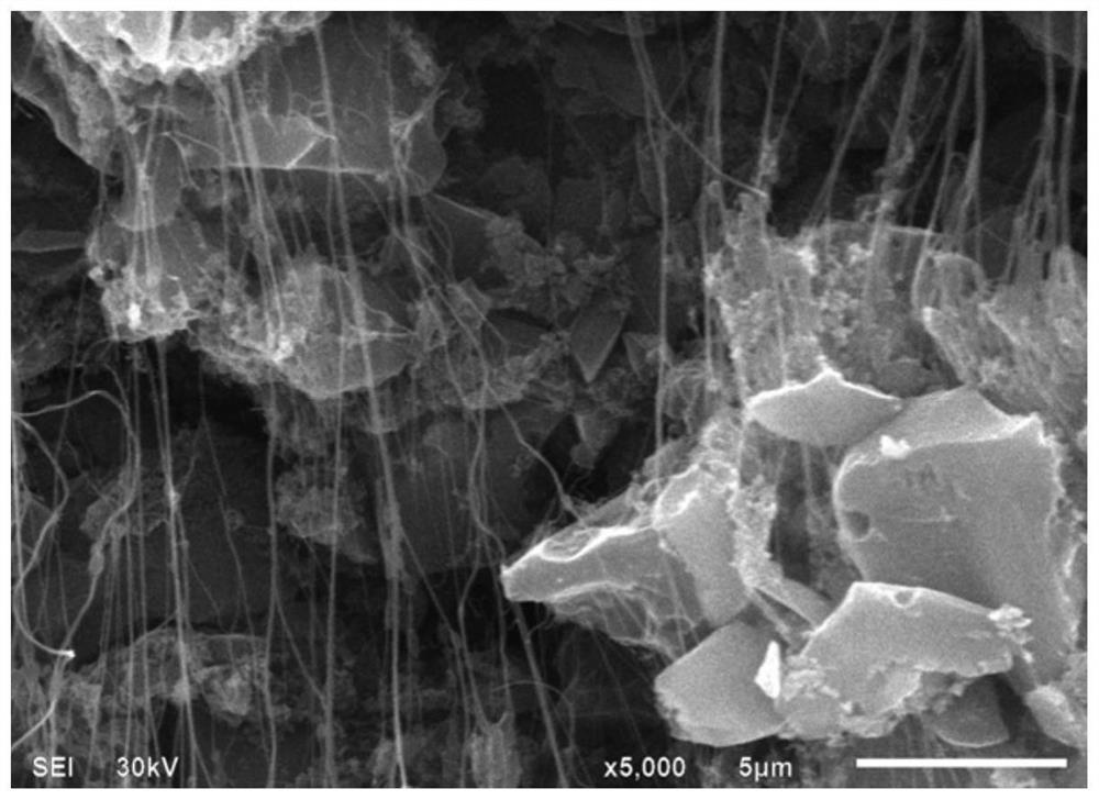 A kind of electrode and preparation method thereof