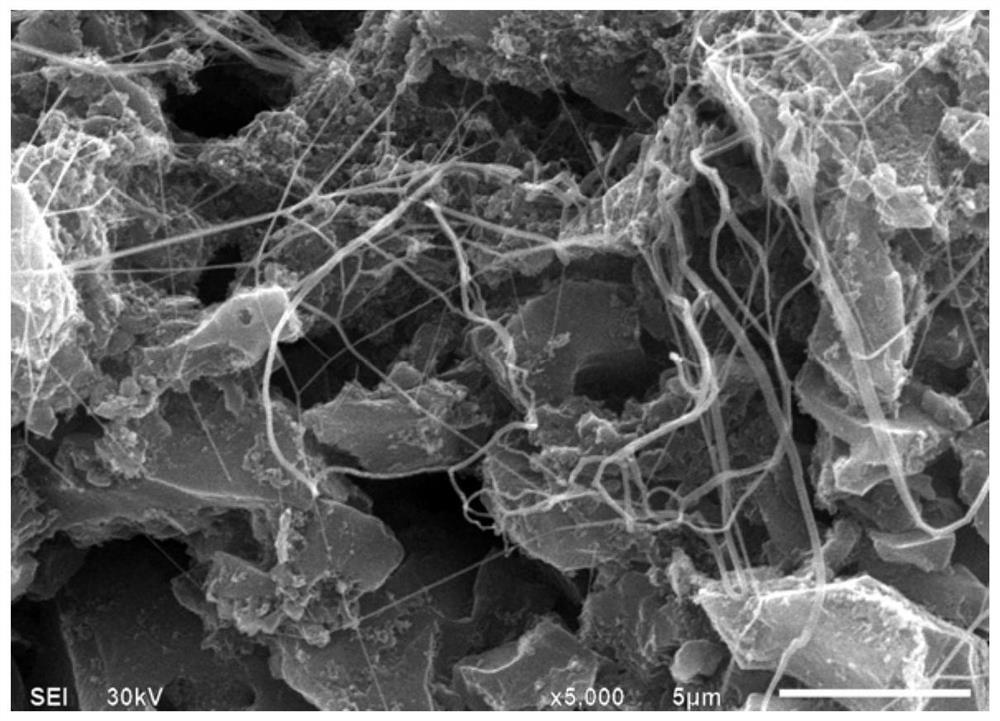 A kind of electrode and preparation method thereof