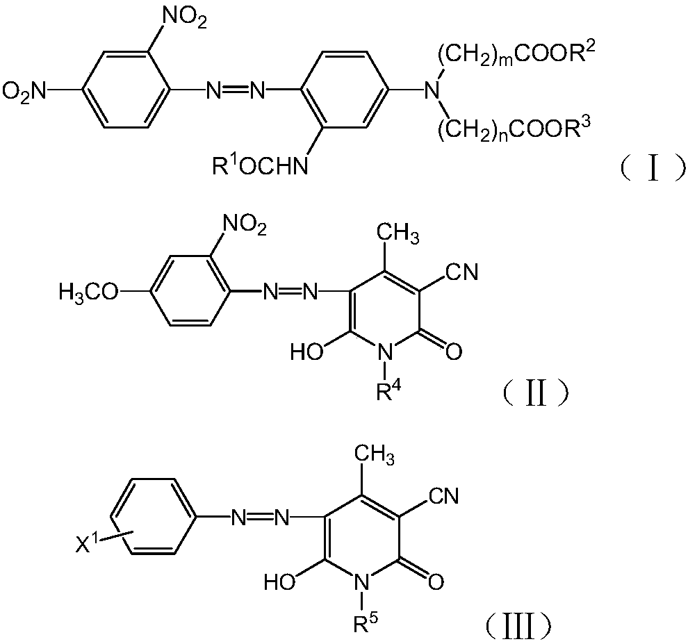 A kind of disperse orange dye composition