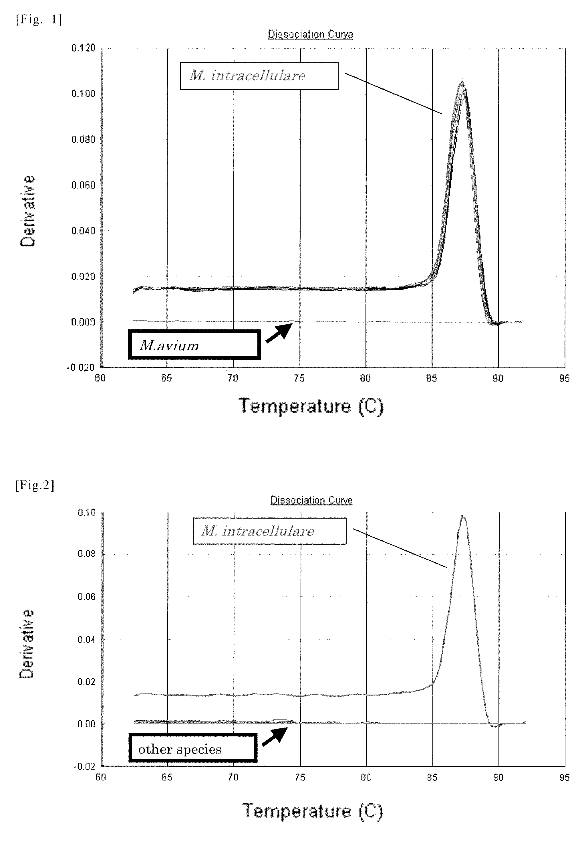 Primer and probe for detection of mycobacterium intracellulare, and method for detection of mycobacterium intracellulare using the primer or the probe