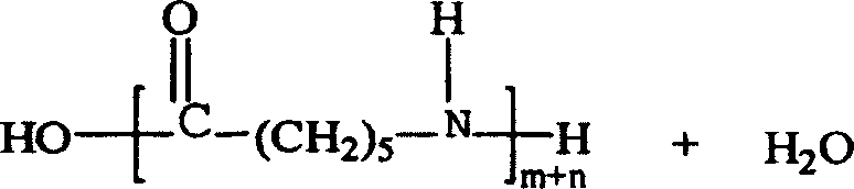 Block copolyamide and preparation thereof