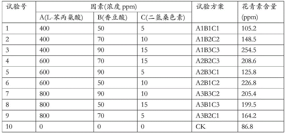 Method for promoting accumulation of anthocyanin in roselle calyxes