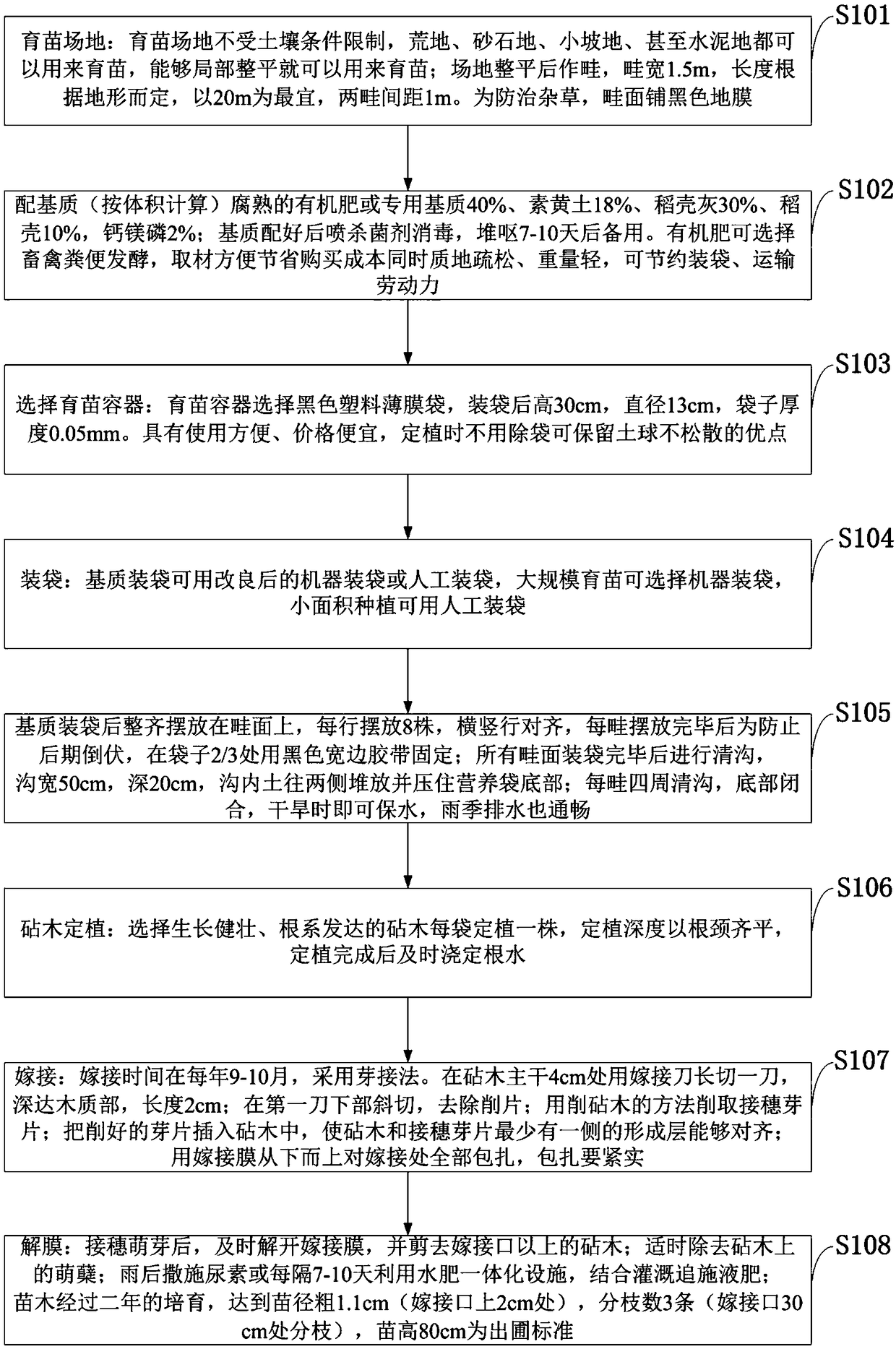 Standardized seedling raising method of Jinggang honey pomelo