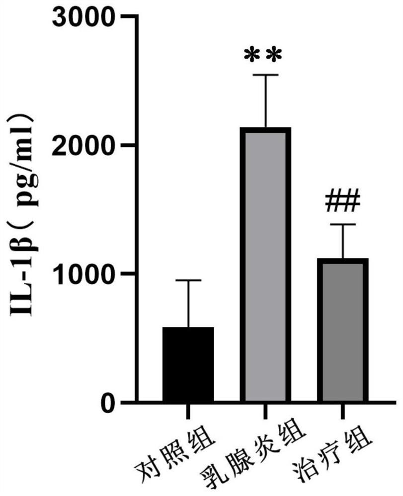 Preparation and application method of traditional Chinese medicine ointment for treating mastitis