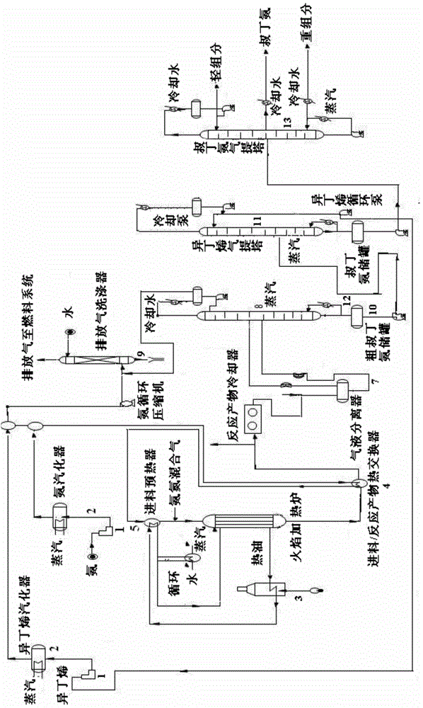 Method for producing tert-butylamine by direct catalytic amination of isobutene