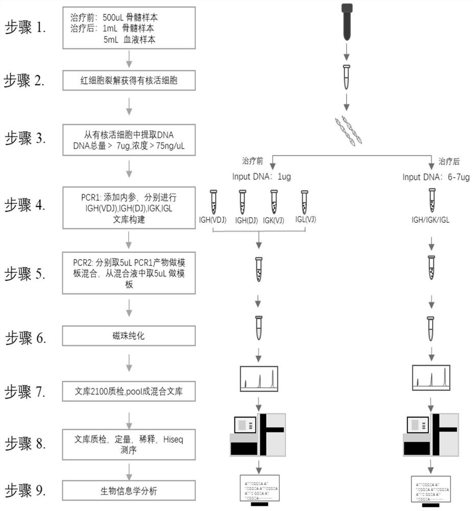 A kit for detecting minimal residual disease mrd