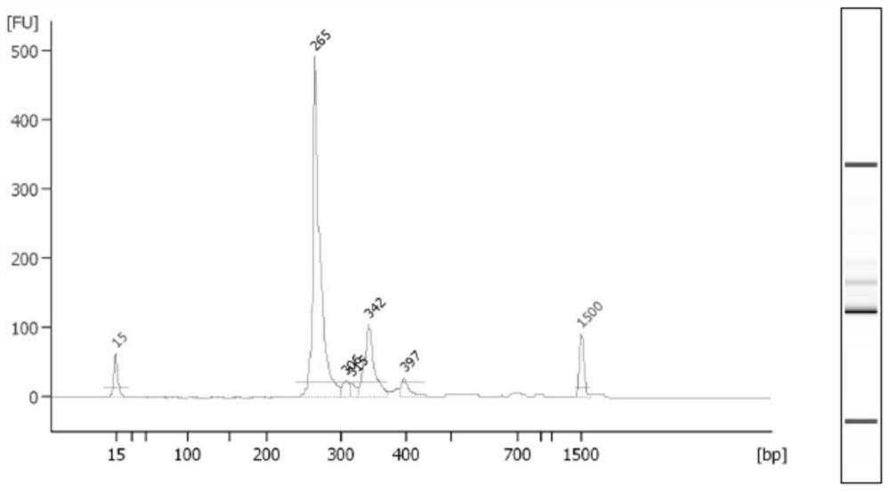 A kit for detecting minimal residual disease mrd